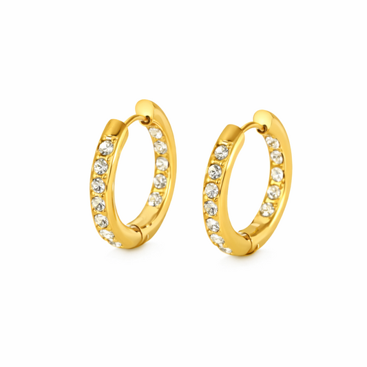 Auric Duo Hoop Earrings