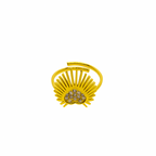Sol Radiance Ring in 18K PVD gold by Febae