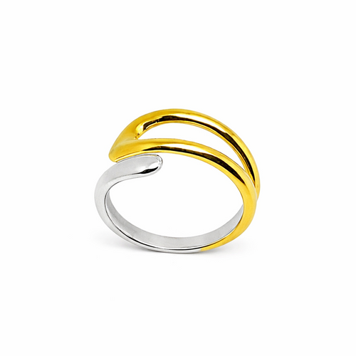 Twine of Gold & Silver Ring in gold and silver PVD by Febae