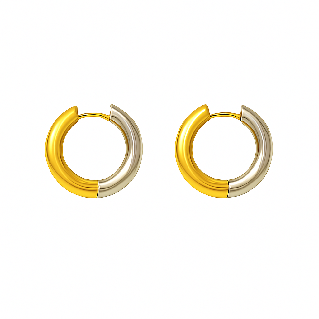 Golden & Silver Loop Earrings